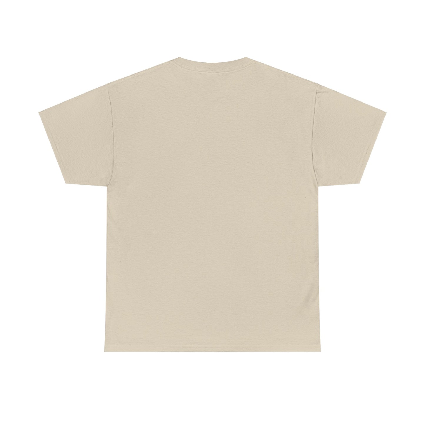 Men's Pickleball Heavy Cotton T-Shirt