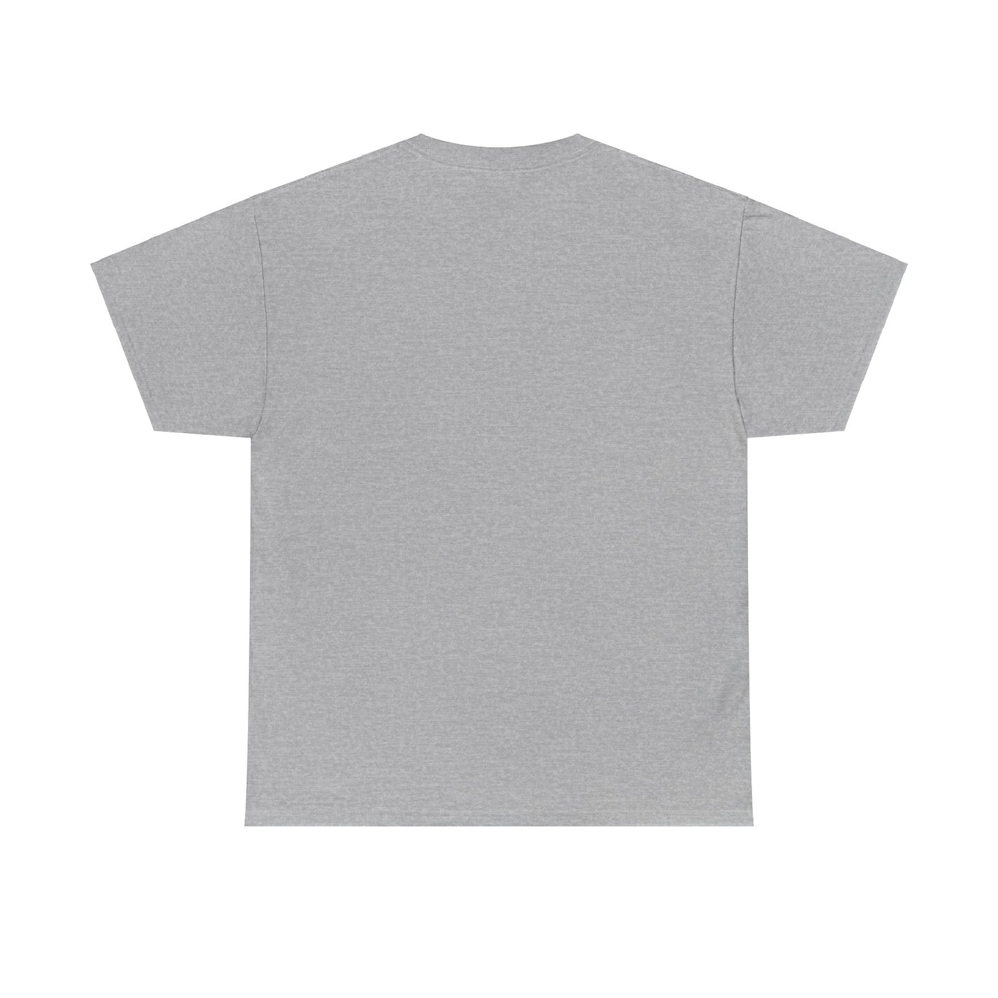 Men's Pickleball Heavy Cotton T-Shirt