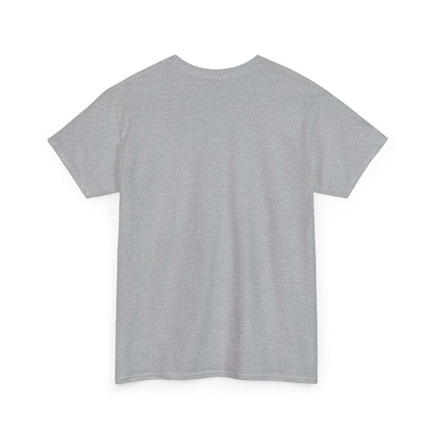 Men's Pickleball Heavy Cotton T-Shirt
