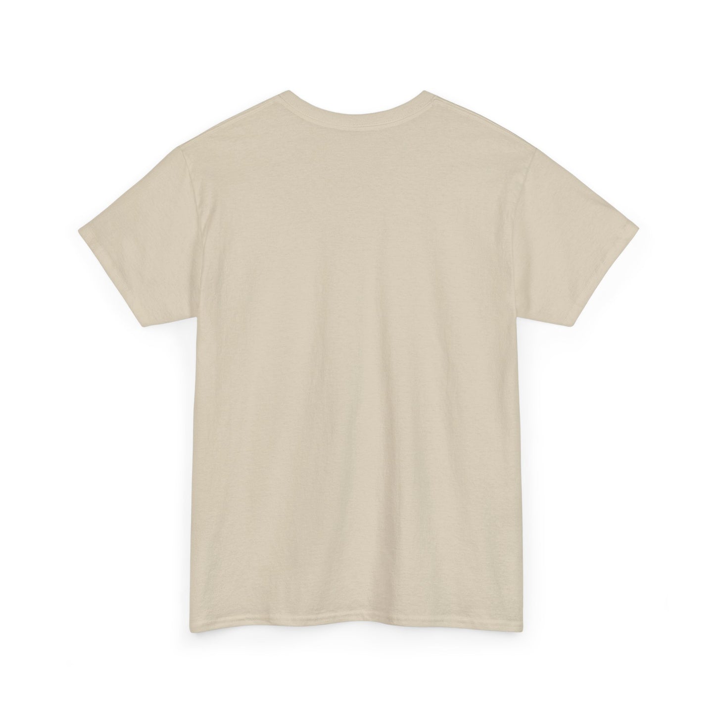 Men's Pickleball Heavy Cotton T-Shirt