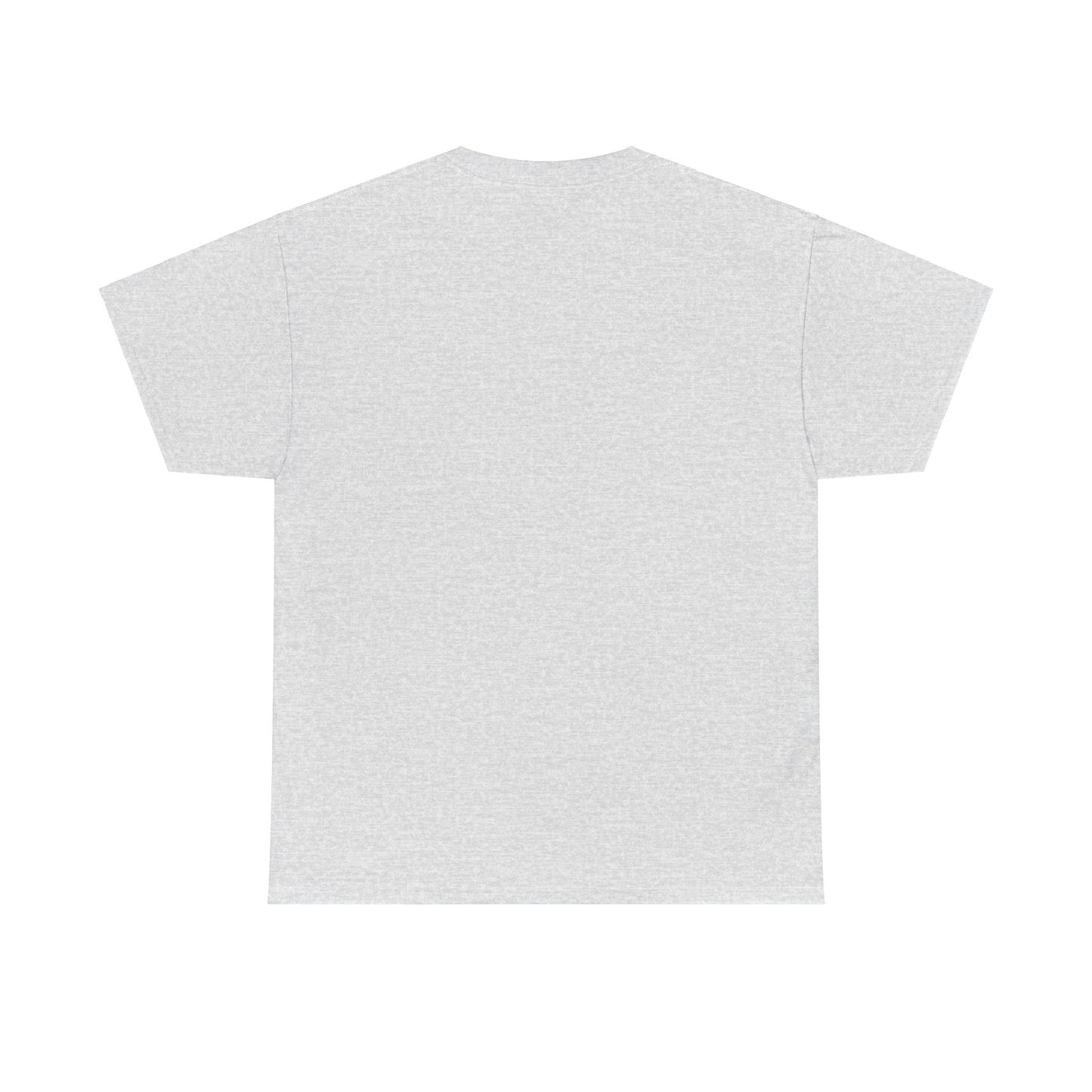 Men's Pickleball Heavy Cotton T-Shirt